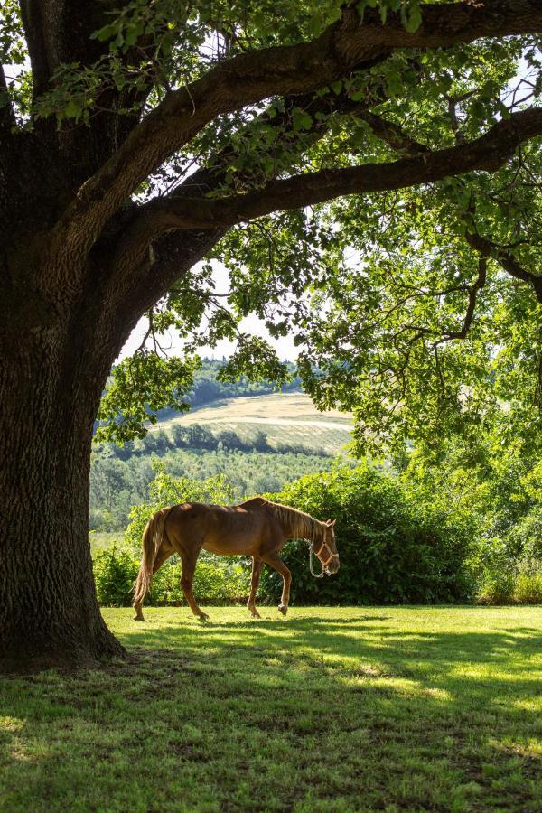 Agriturismo Molino Nuovo Castel San Pietro Terme Bagian luar foto